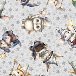 Fat Quarter - LIL' WIZARDS - Wizard Toss Grey