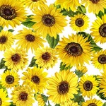 Fat Quarter - Sunflower Sunrise - Meadow White