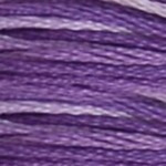 0052 Variegated Violet S