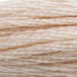 0543 Ultra Very Light Beige Brown S