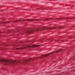 0601 Dark Cranberry S