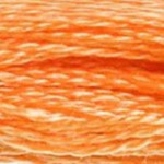 0722 Light Orange Spice S