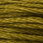 0831 Medium Golden Olive S