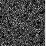 Fabric - Bliss - Black 53982-2