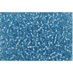 7230 Seed Beads - Guttermann