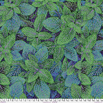 Fittonia PWPJ129 - Green