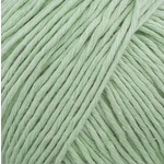 Cottonwood 8 Ply 41119 Pale Green