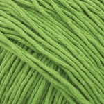 Cottonwood 8 Ply 41143 Grass Green