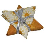 Fabric Star Pack 03