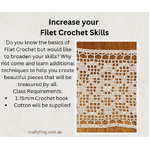 Increase your Filet Crochet Skills