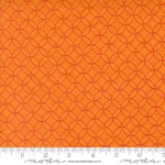 Fabric - Rainbow Spice M4504231 Pumpkin