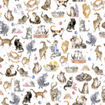 MAS10414-W - Whiskers & Paws - Directional Cats White