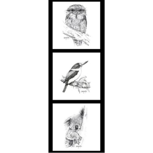 Tawny Frogmouth - Kingfisher - Koala - DV3713