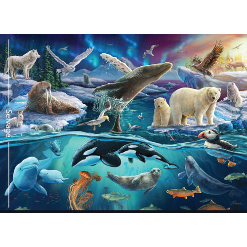 Carlie Edwards Collection - Arctic Panel DV6008